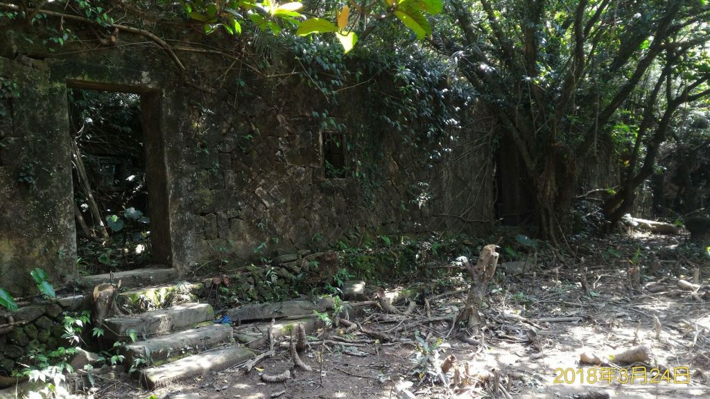 雪山尾稜大縱走~全長23公里_294928