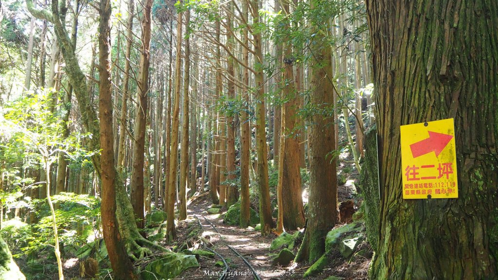 《苗栗》遺世鐵道｜悠遊加里山大坪支線至避難山屋20250822_2867534