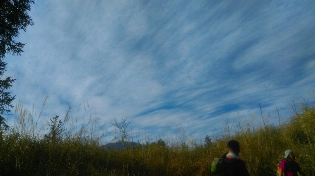 20160305新竹五峰大窩山,比林山_31666