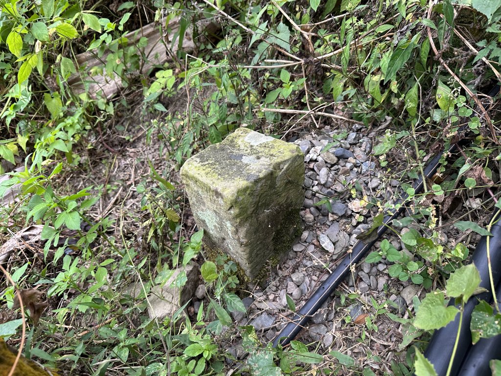 雲嘉十八連峰_1932570