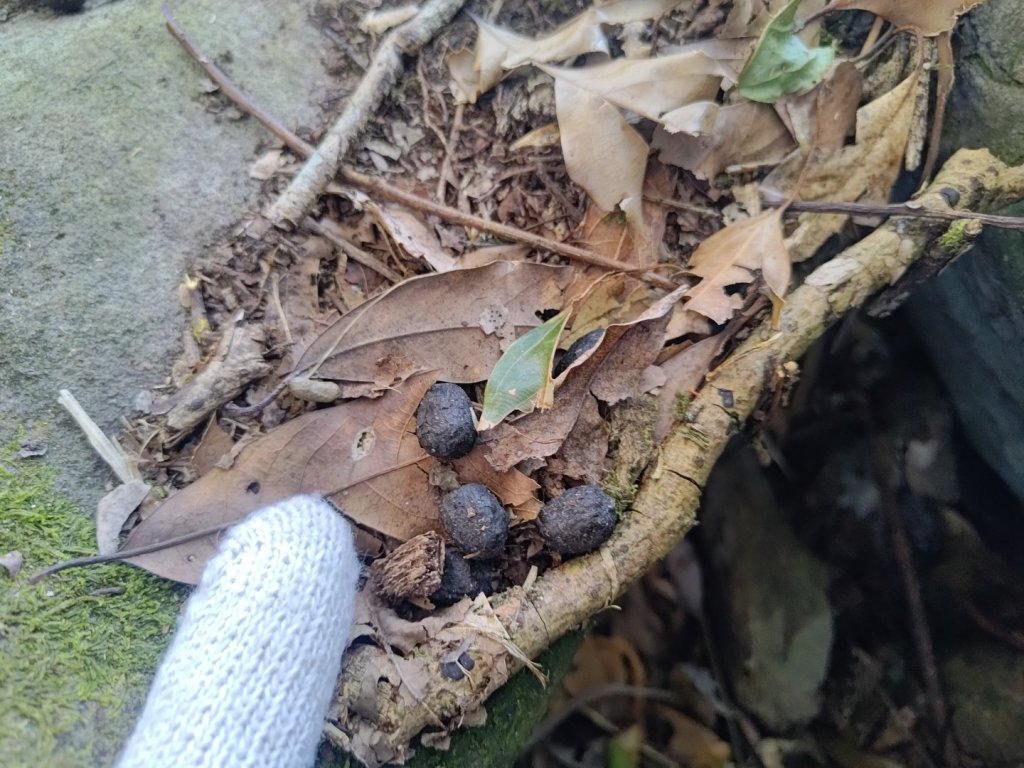 幾阿佐名山_2664525