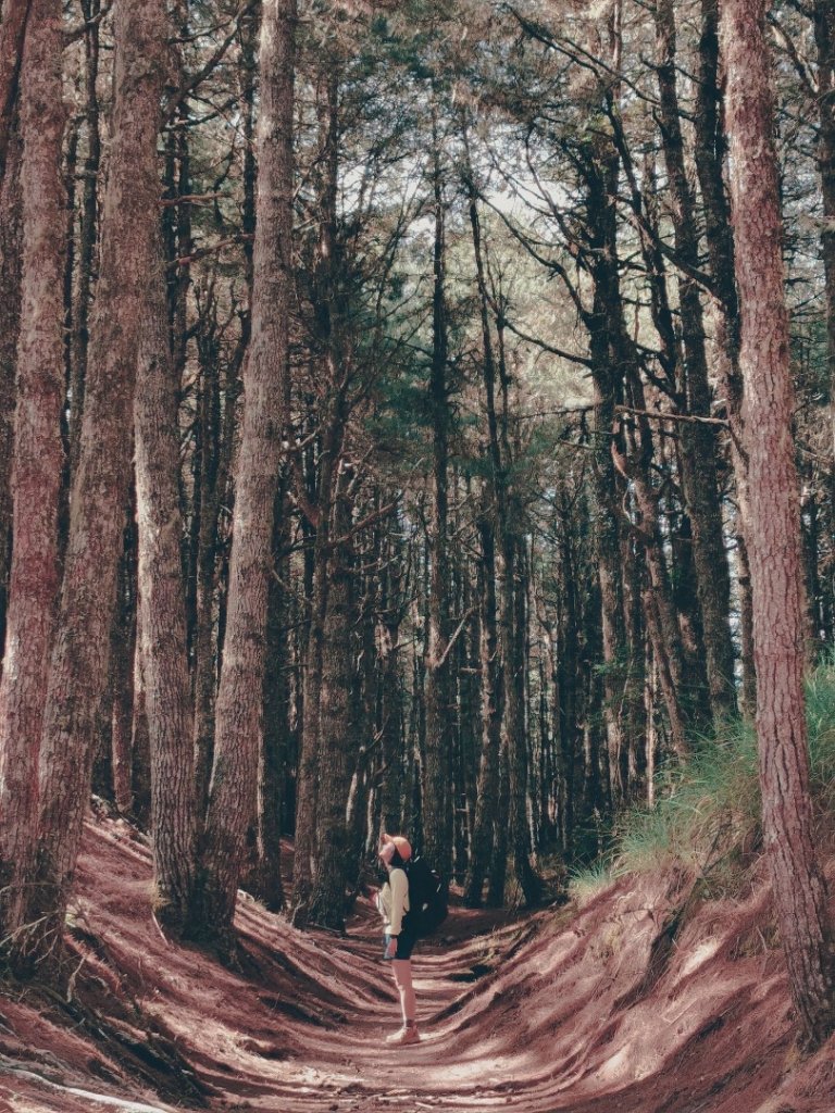 Mo on 南湖群峰_2235770