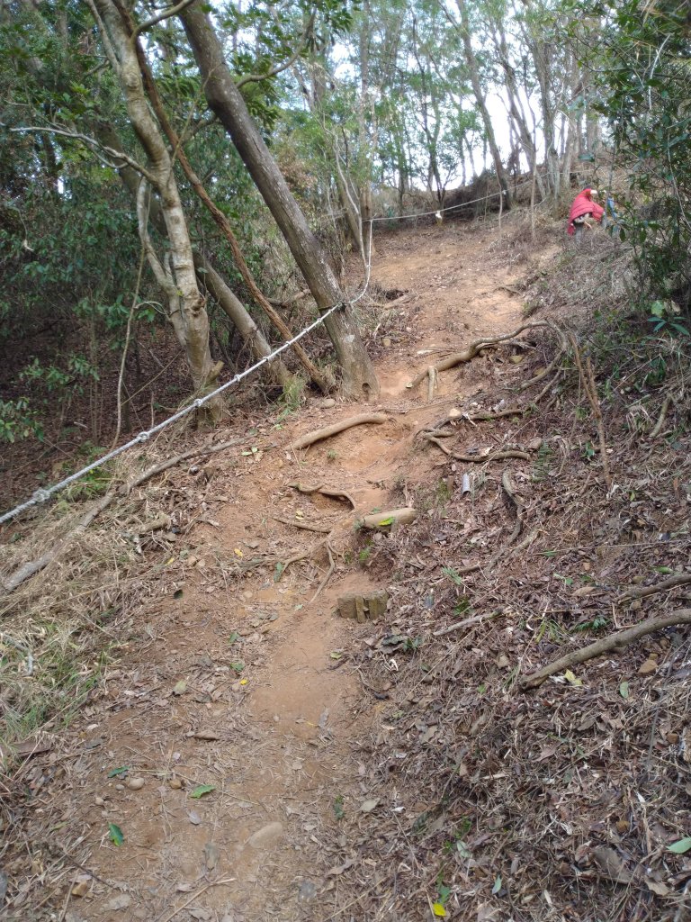 新竹新埔 文山步道_1212937