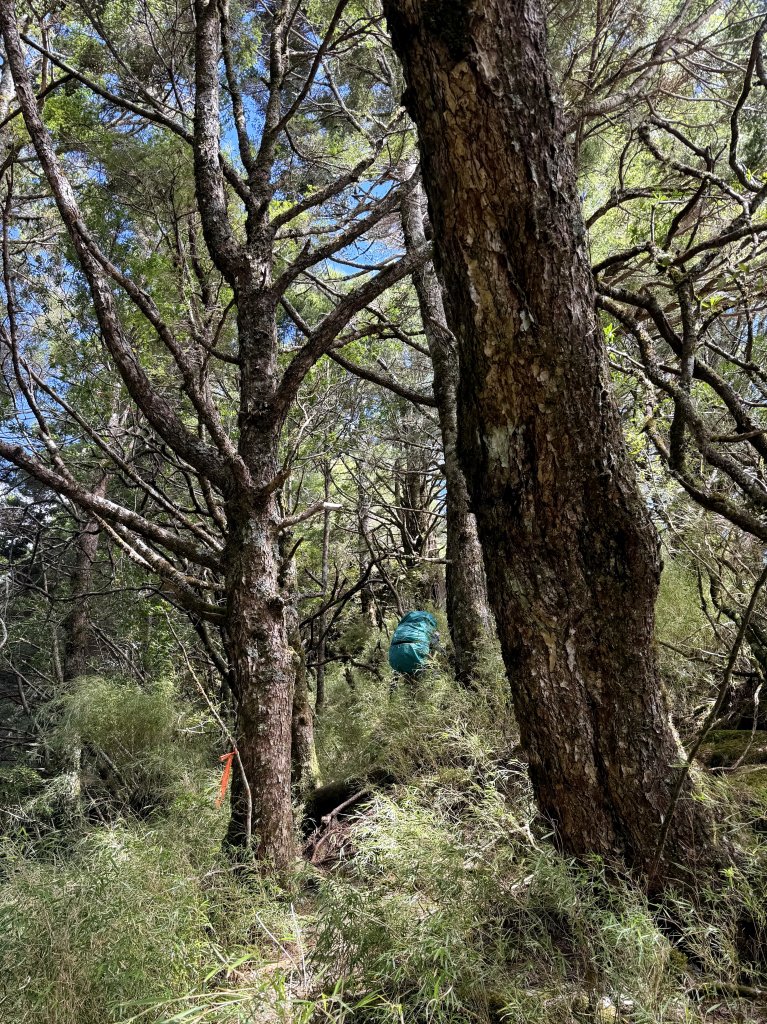 觀雲山莊經小完美谷上畢祿山O繞_2917260