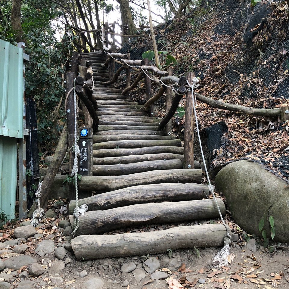 大坑九十步道230315_2465946