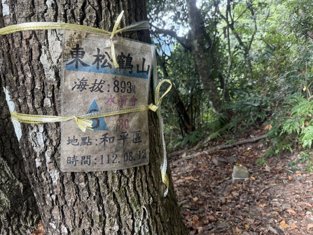 回程下雨的 松鶴上 八仙山 20251025_2925767