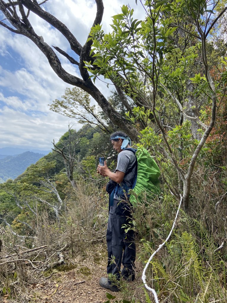 蓮包山、外鳥嘴山、那結山、貴妃山、水田林道O 型縱走_1673036