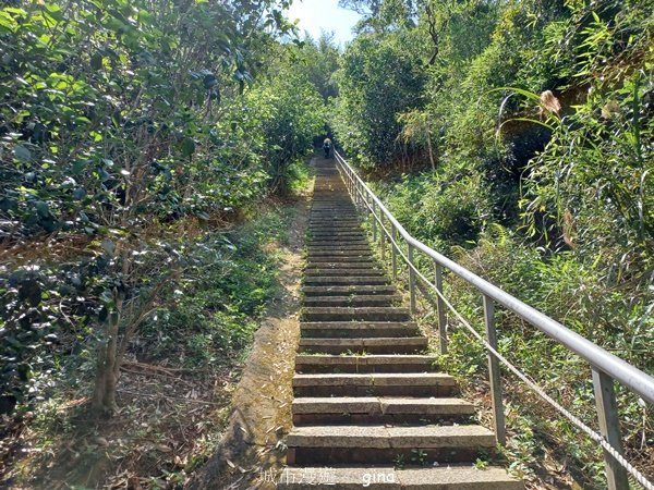 【苗栗造橋】適合親子悠閒踏青。劍潭古道_2533473