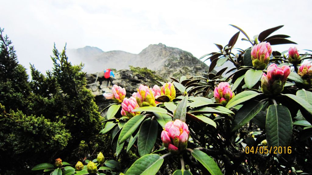 南湖 - 鑲嵌在高山幽谷間的璀璨鑽石 ! _165680