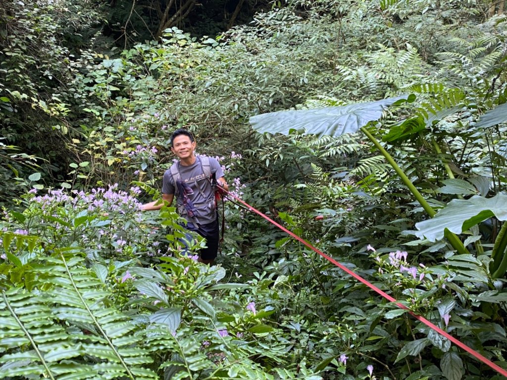 金面山.金山面山.十三份山.山麻坑山【暗藏玄機 不容你小覷的郊山縱走】_2384824