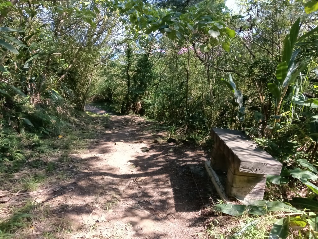 基隆市曾子寮山+大德山+摩天嶺+九華山+龍鳳山+火號山+球子山燈塔+白米甕砲台+白米甕尖+基隆燈塔_3006599