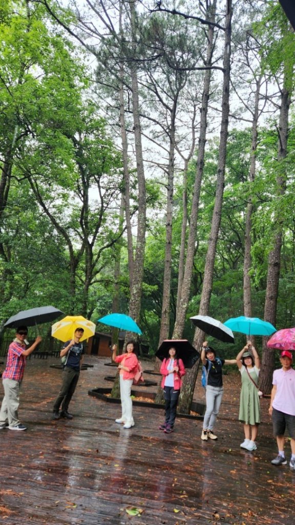 20240527_奧萬大雨中漫走封面圖