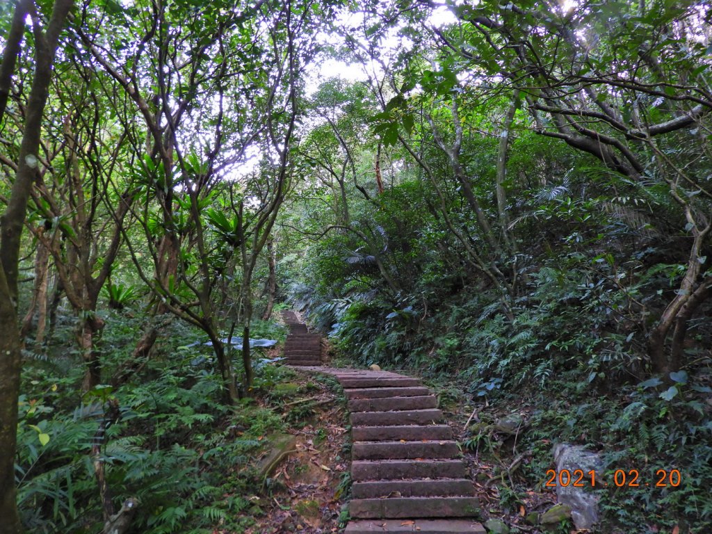 宜蘭 頭城 蕃薯寮山、鹿窟尾尖_1277973