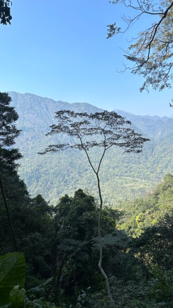 裡冷上唐麻丹O繞+蝴蝶谷_2742913