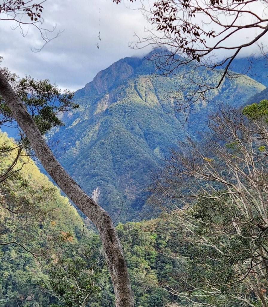 【中級山】谷關七雄八仙山_2745038