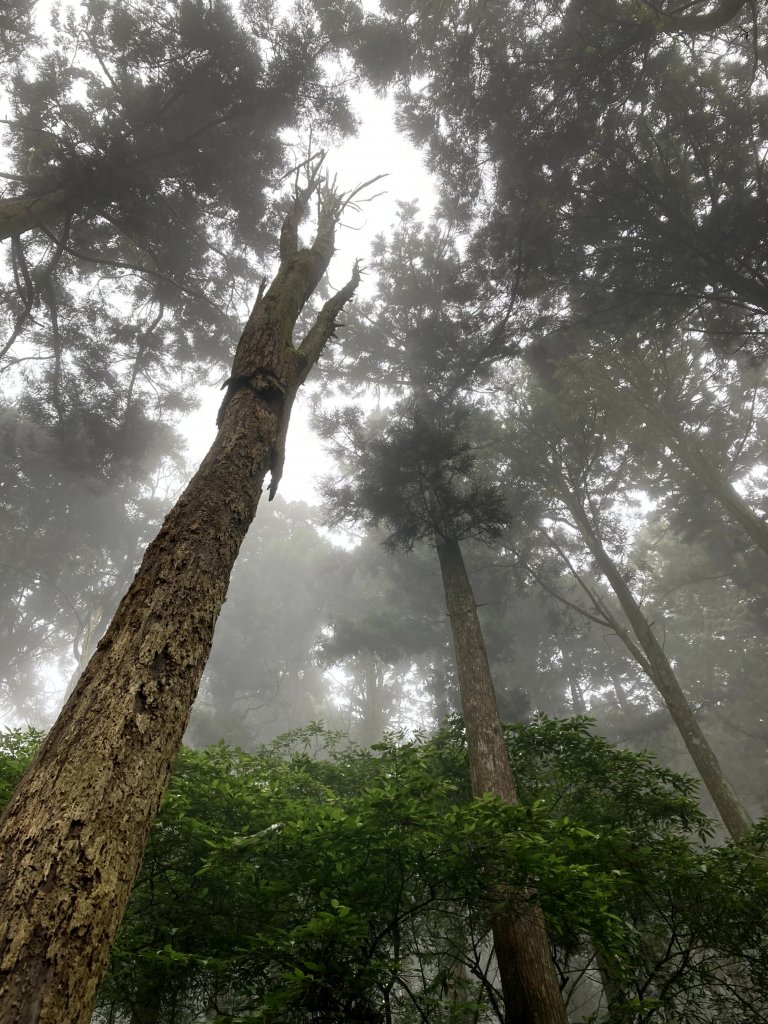 2023-09-30 頂石棹 雲之道_2300718