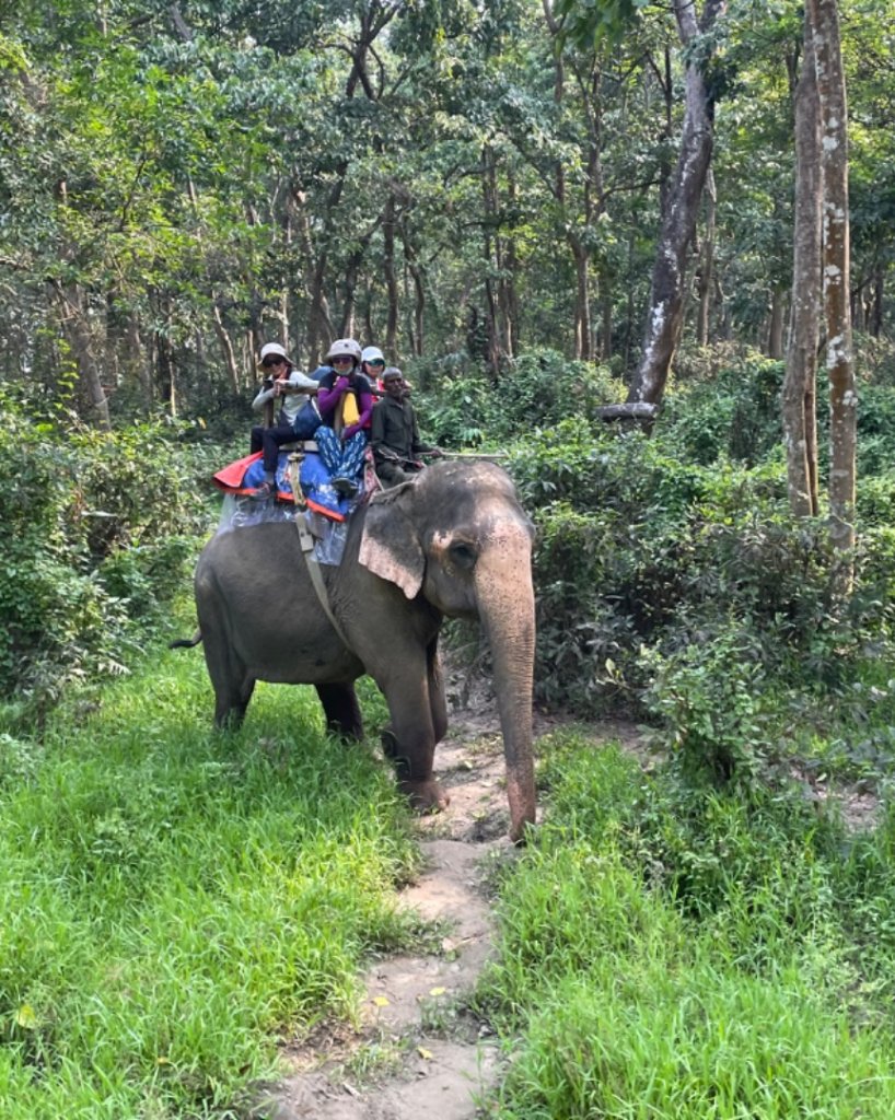 尼泊爾奇旺國家公園4天三夜_2788893