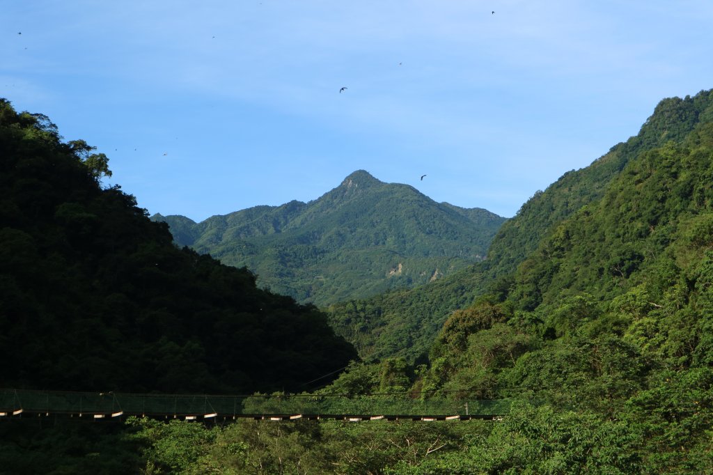 加里山-小百岳#34-苗栗縣南庄鄉封面圖