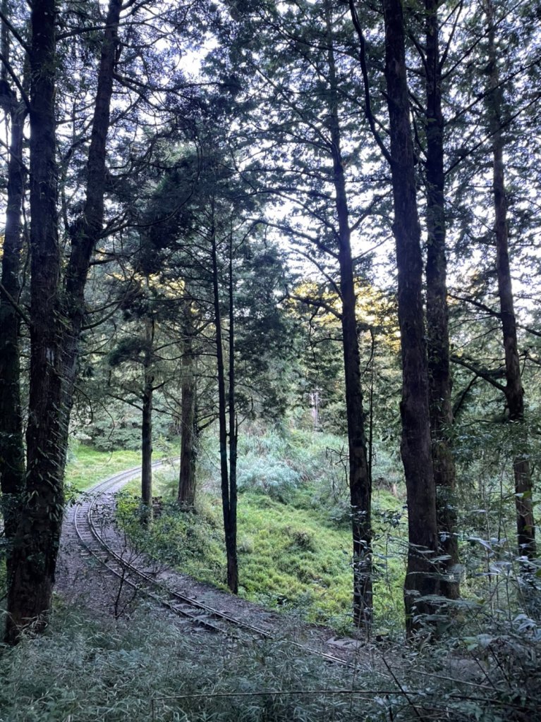 小百岳(59)-大塔山-20220925_1878621