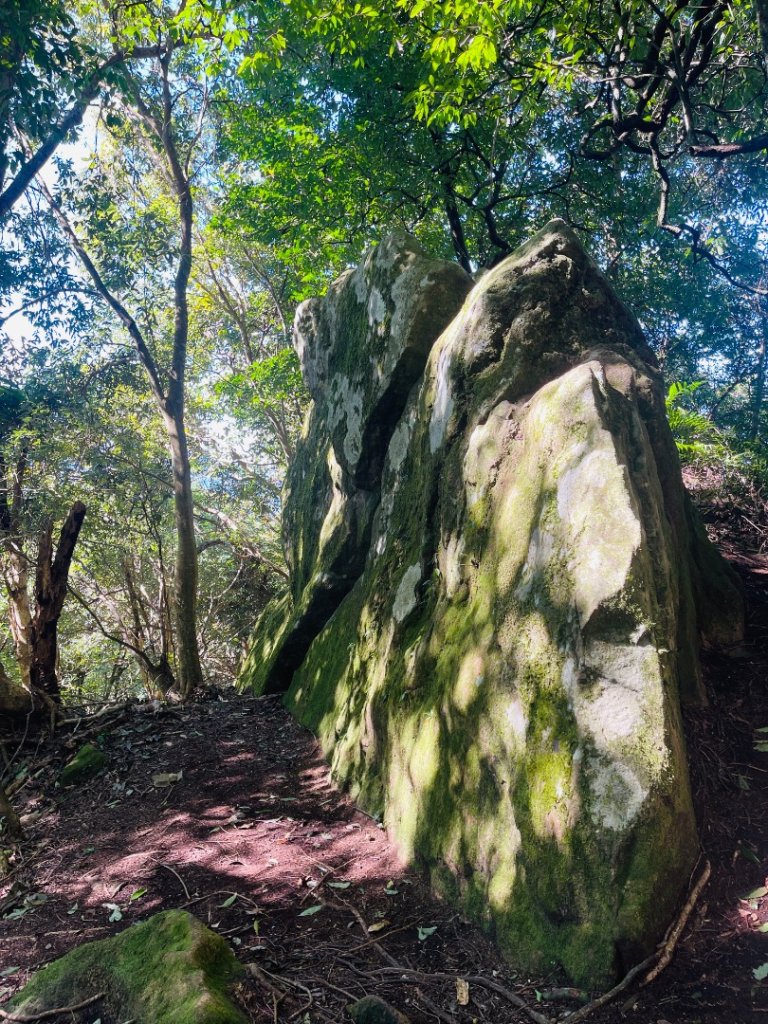 1141116油羅山_2946425