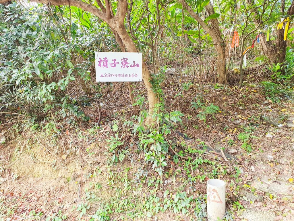 基隆槓子寮山，龍崗步道，瑞芳象鼻岩，老梅綠石槽，內湖老鷲尖山，翠湖，內溝山，油桐嶺_1670357