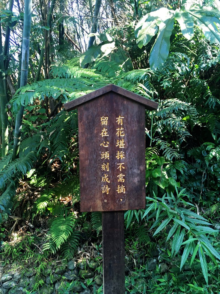 2021-1 台北大縱走7-貓空段_1257081