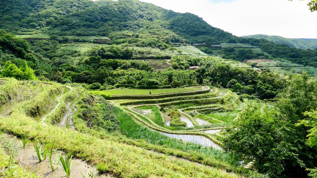 北海岸。良率_2783387