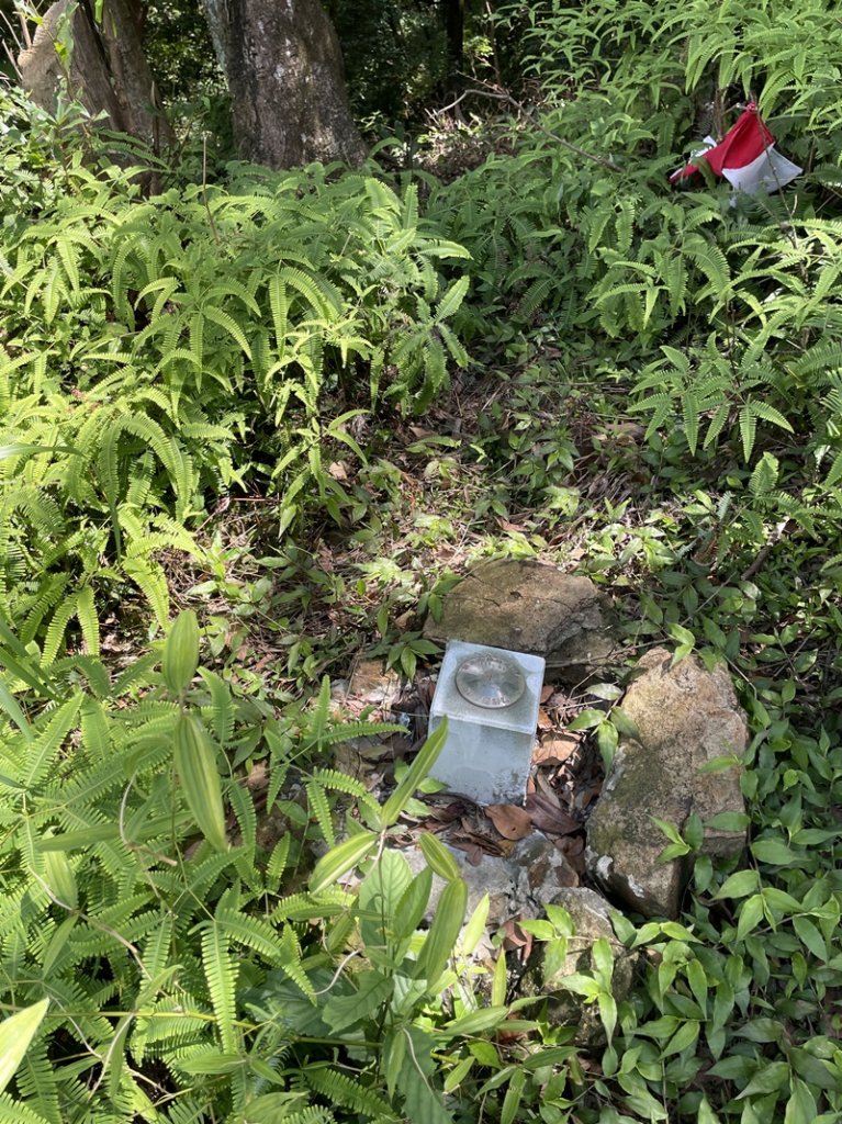 蛇子形古道_2511177