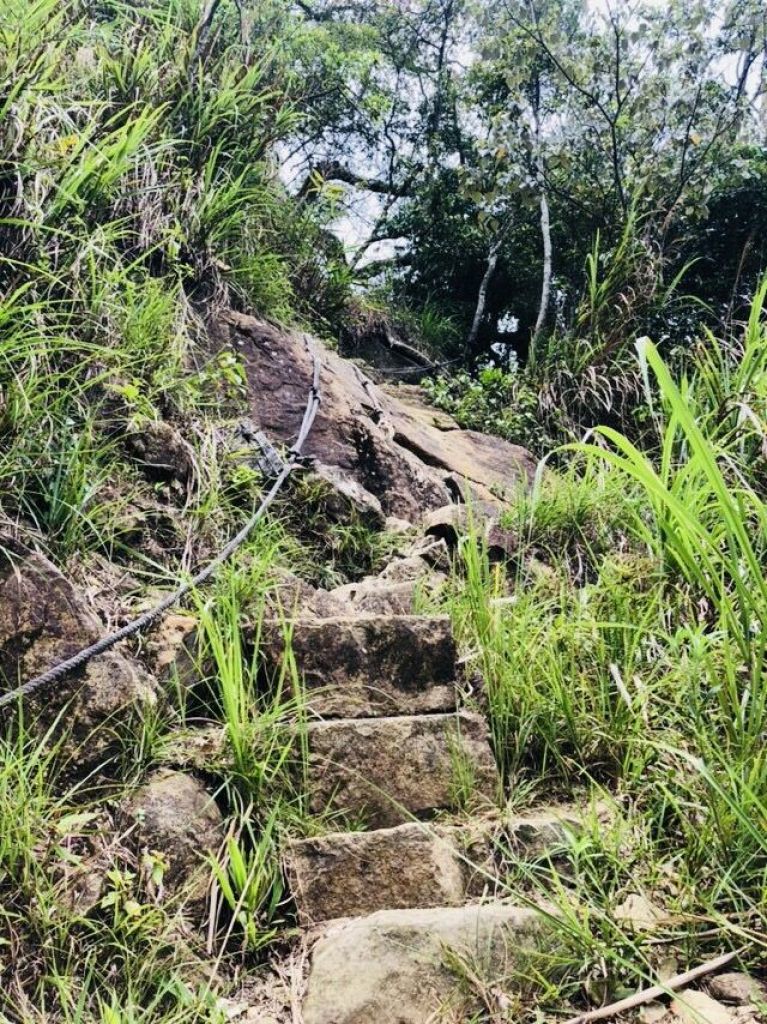 獵鷹尖一線天_374785