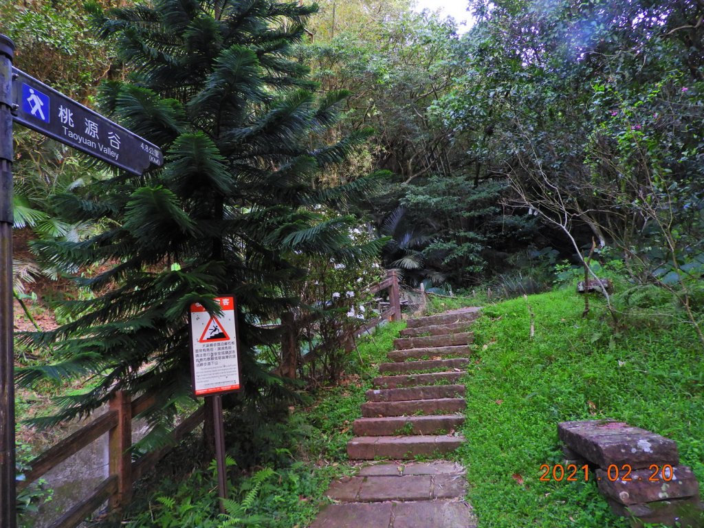 宜蘭 頭城 蕃薯寮山、鹿窟尾尖_1277971