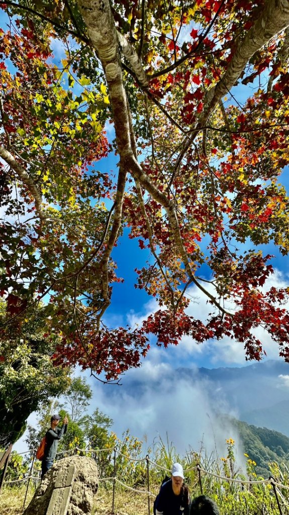 馬那邦山O走_2370135