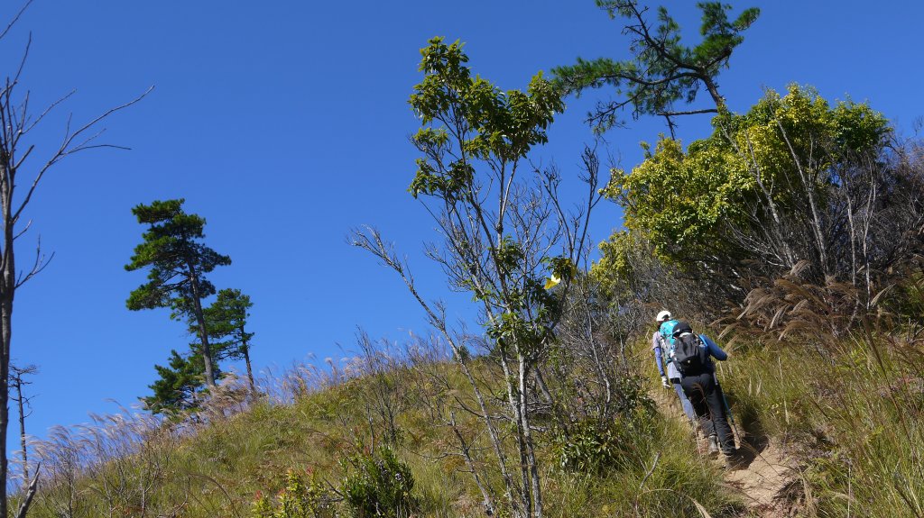 馬武佐野郡山登山健行趣(中級山)_1508734