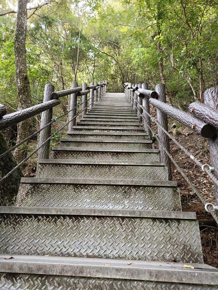 109.09.16谷關 稍來山步道_1107018