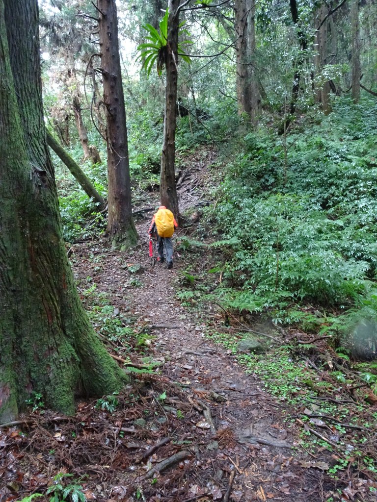 2022年02月20日(鳳凰山協)南投信義-望鄉部落-獵人古道之望美山及瓊山_1616687