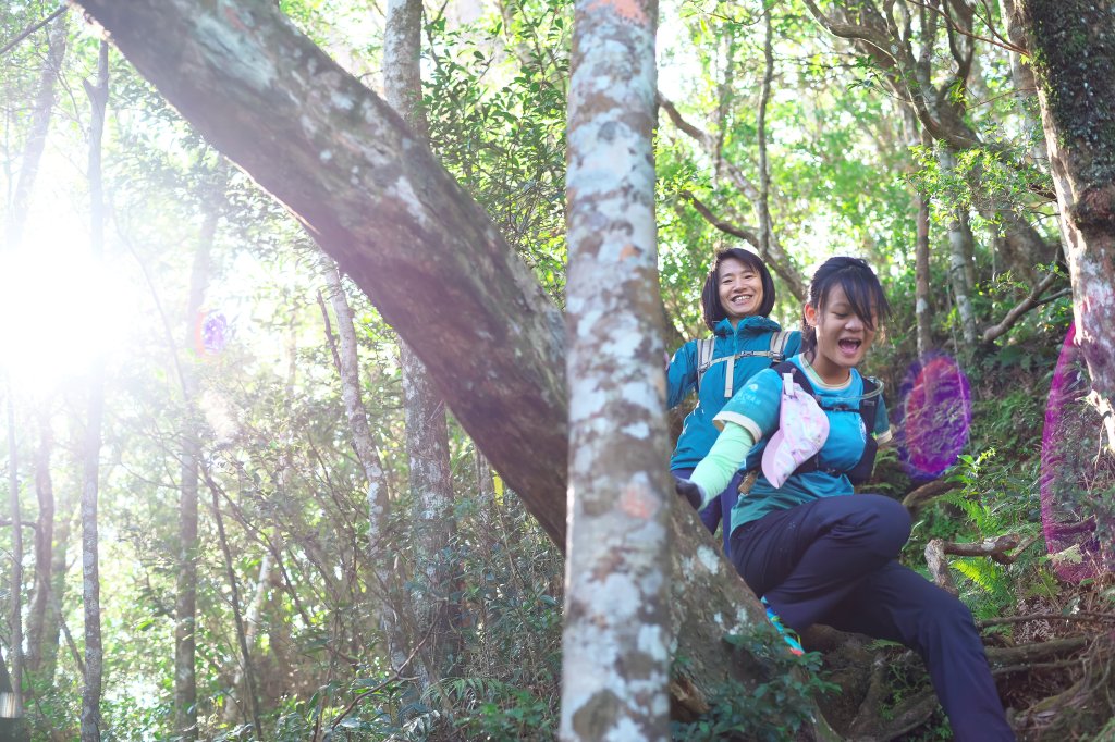 嘎色鬧登那結山_2392512