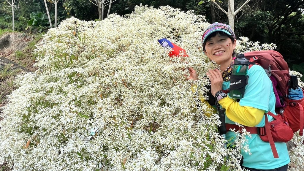 🌈林內-龍過脈森林步道+網美景點舊庄驛站~林內美食之旅🌈_2681034