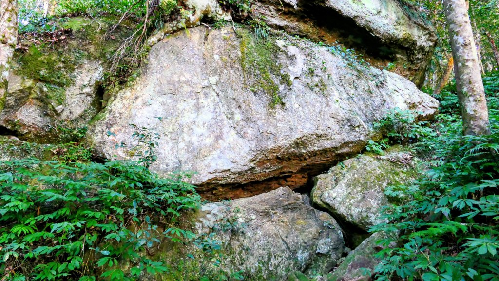 油羅山(一上三下)_2959120