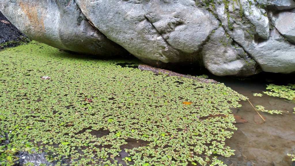 武界一線天～徒步感受大自然的美_882335