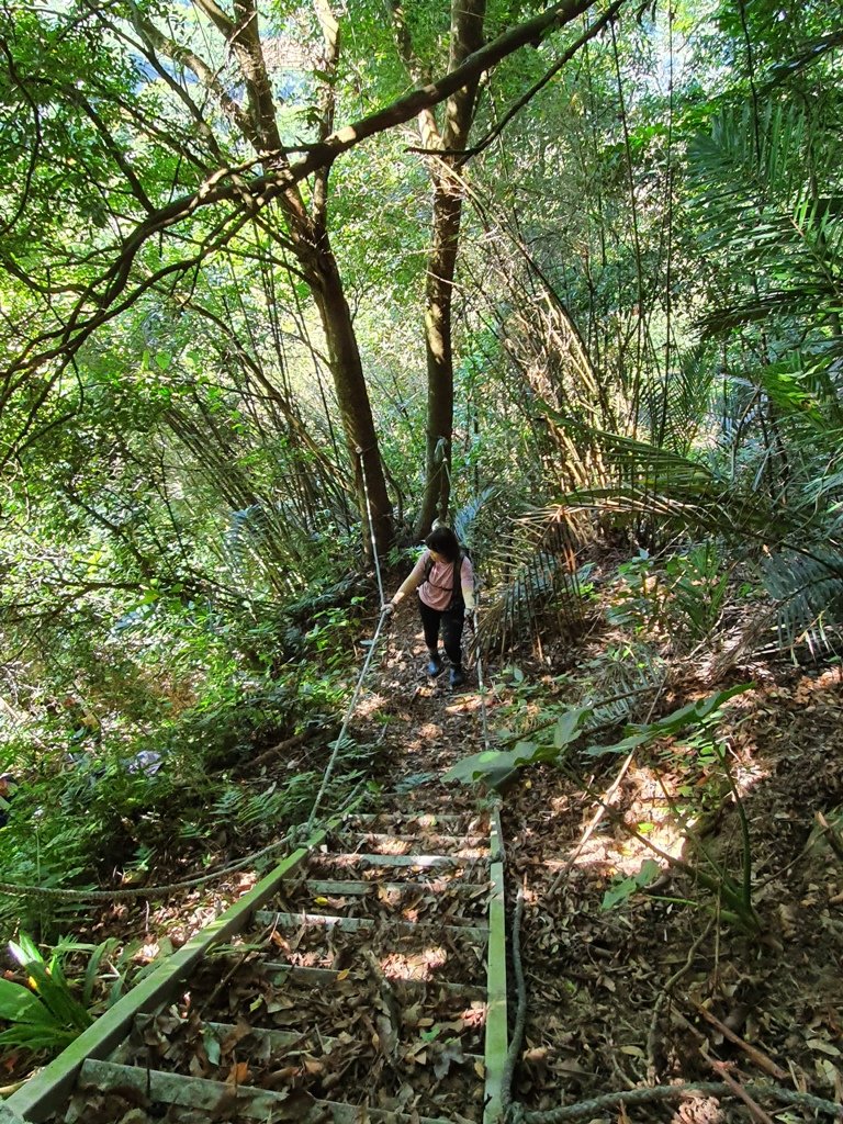 1110723熊佧山&鷂婆山_1776590