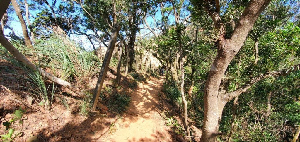 2021-10/17-苗栗三義-火炎山_1492413