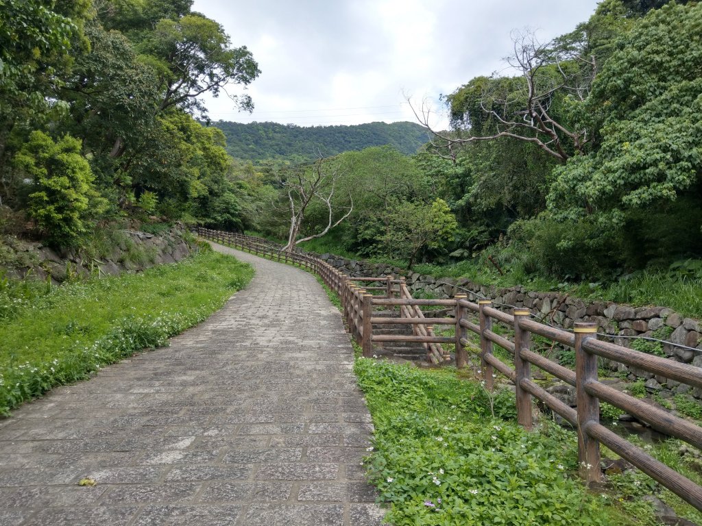 走永春寮步道登中正山，由第一登山口轉頂湖山下頂湖 (2021/3/26)_1416702