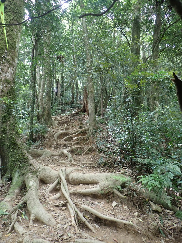 有點挑戰性的高島縱走~_1350870