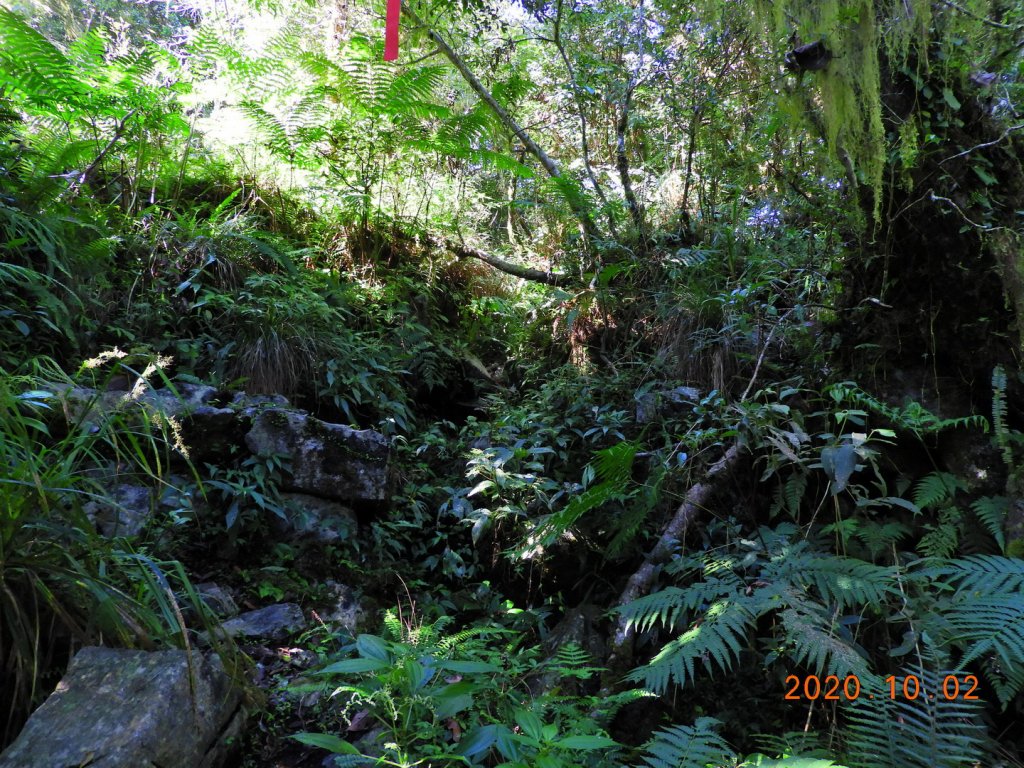 花蓮 秀林 立霧山_1117130