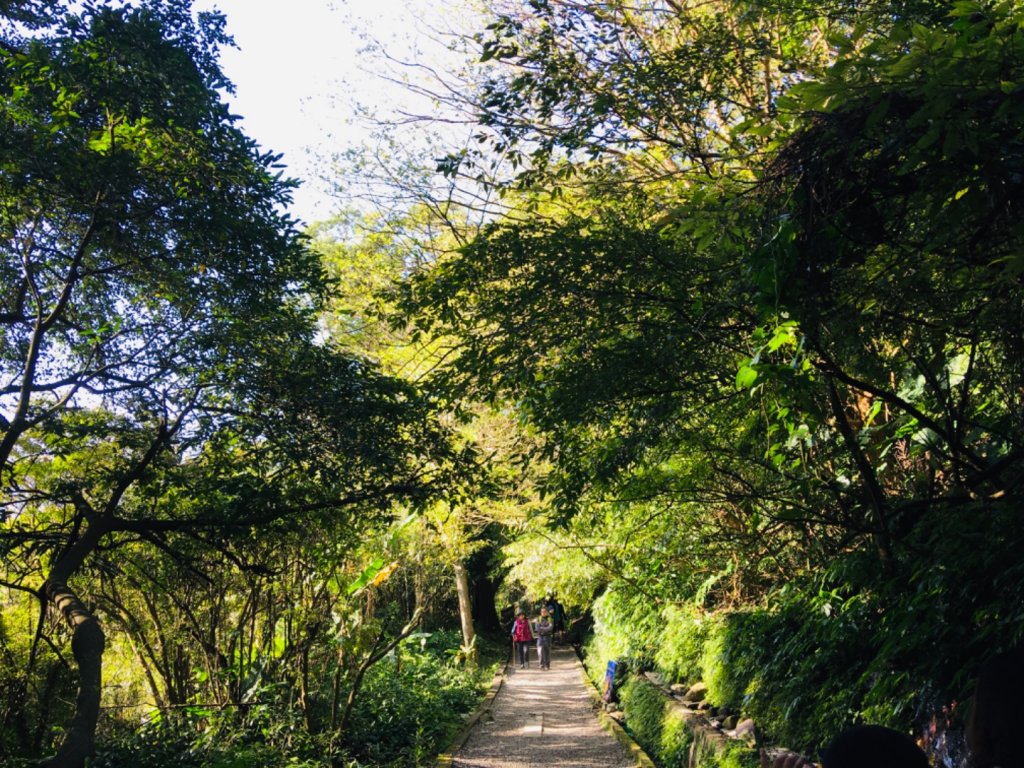 1090315天母古道_881363