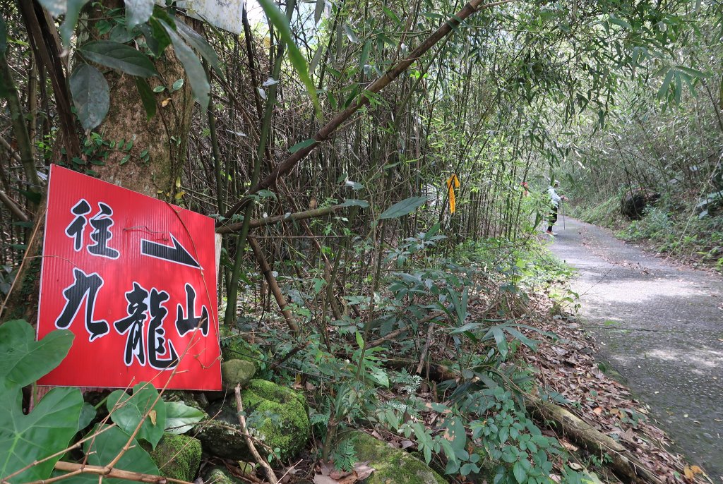 九凍雞縱走_2467966