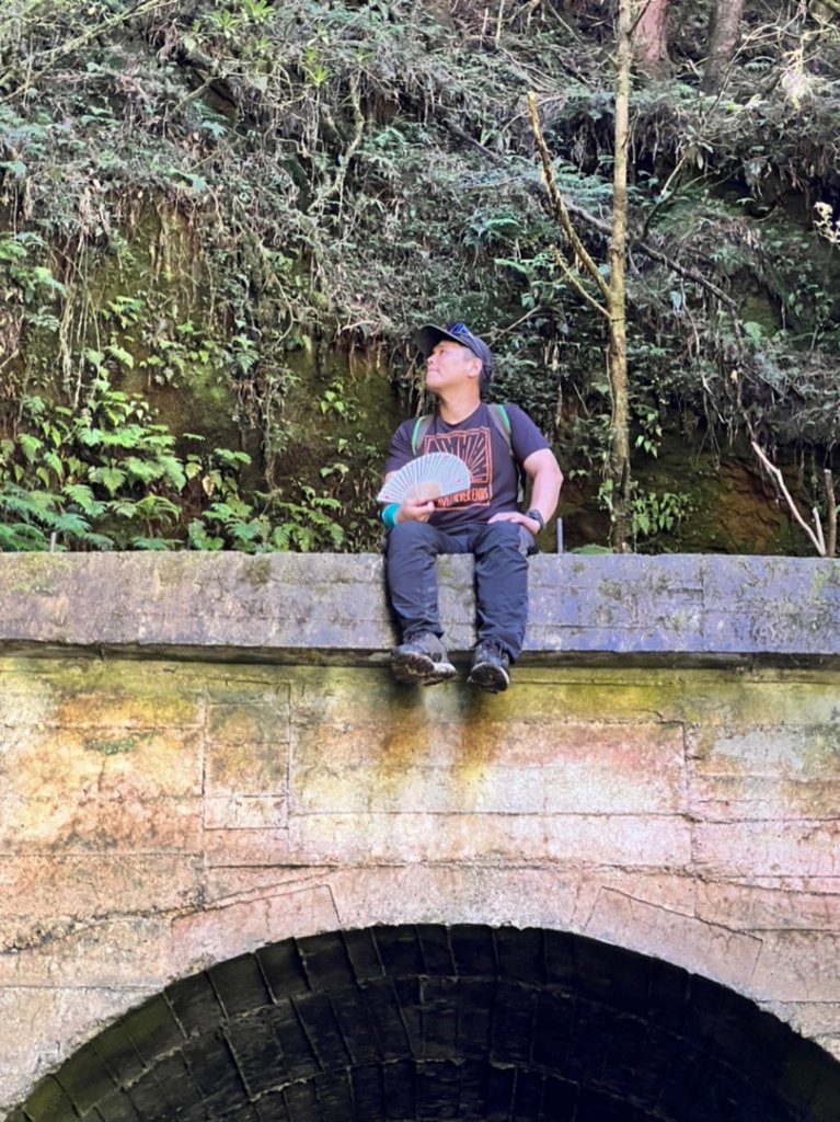 阿里山祝山日出，塔山步道，眠月線_1776781