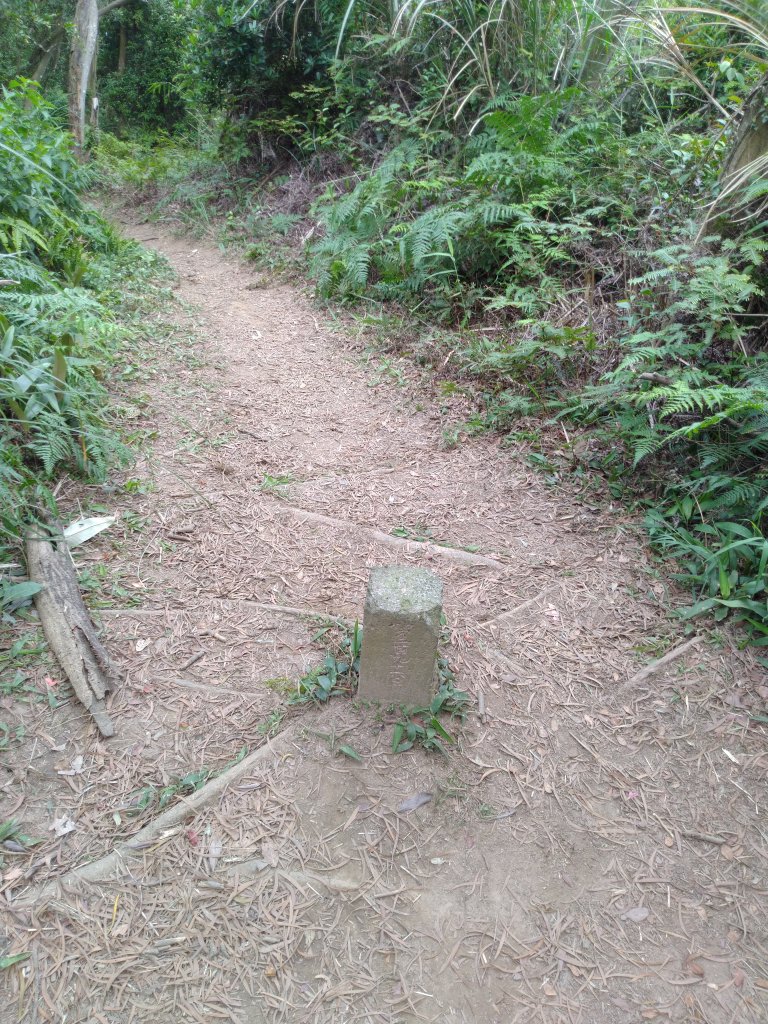 銅鑼 雙峰山 北峰/西峰 小O環形_949123