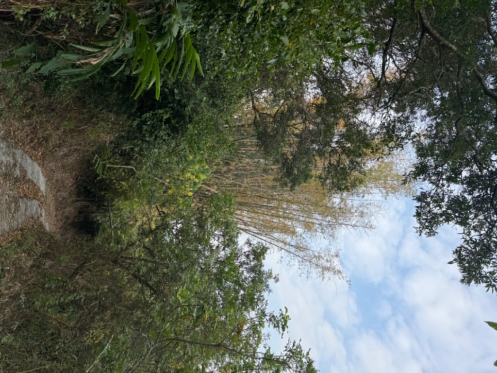 台南市東山區牛山三等三角點NO.416_2435815