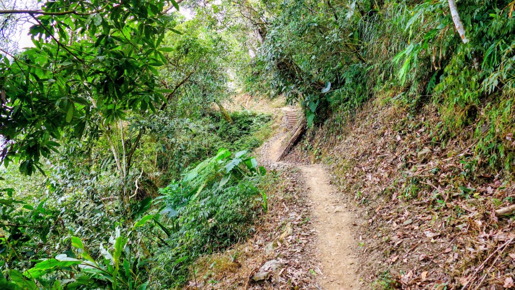 梅嶺竹子尖山_2987435