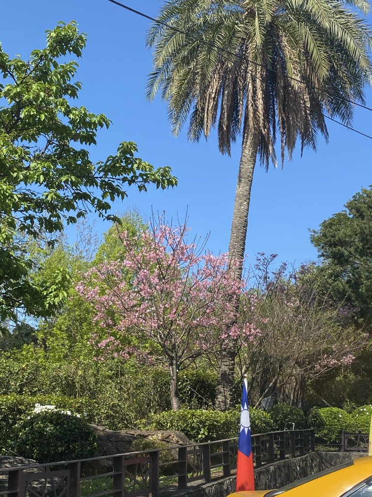 貓空_1305337